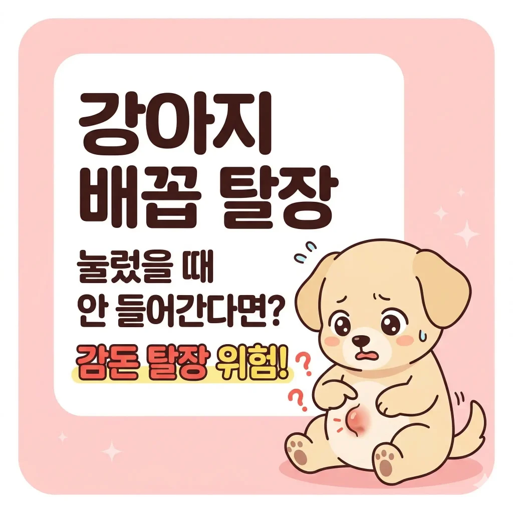배꼽이 튀어나와 걱정스러운 표정을 짓는 강아지 한국 웹툰 스타일 일러스트, 강아지 감돈 탈장 위험 신호 블로그 썸네일