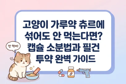 고양이 가루약 츄르에 섞어도 안 먹는다면? 캡슐 소분법과 필건 투약 완벽 가이드