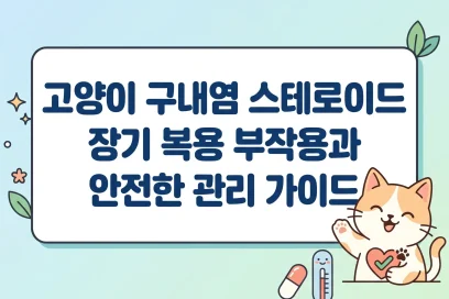 고양이 구내염 스테로이드 장기 복용 부작용과 안전한 관리 가이드