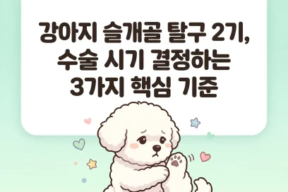 강아지 슬개골 탈구 2기, 수술 시기 결정하는 3가지 핵심 기준