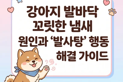 강아지 발바닥 꼬릿한 냄새 원인과 ‘발사탕’ 행동 해결 가이드