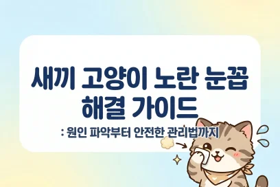 새끼 고양이 노란 눈꼽 해결 가이드: 원인 파악부터 안전한 관리법까지