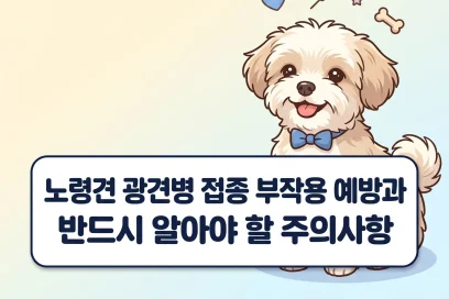 노령견 광견병 접종 부작용 예방과 반드시 알아야 할 주의사항