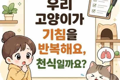 우리 고양이가 기침을 반복해요, 천식일까요?