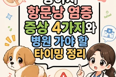강아지 항문낭 염증 증상 4가지와 병원 가야 할 타이밍 정리
