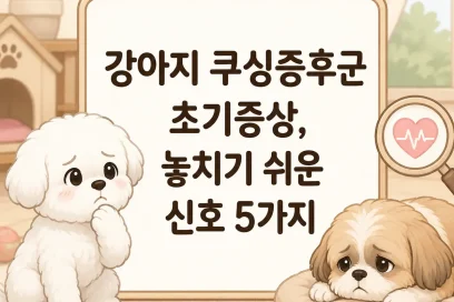 강아지 쿠싱증후군 초기증상, 놓치기 쉬운 신호 5가지