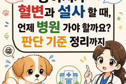 강아지가 혈변과 설사 할 때, 언제 병원 가야 할까요? 판단 기준 정리까지