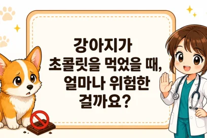 강아지가 초콜릿을 먹었을 때, 얼마나 위험한 걸까요?