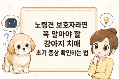 노령견 보호자라면 꼭 알아야 할 강아지 치매 초기 증상 확인하는 법(+초기 관리법)