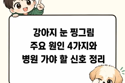 강아지 눈 찡그림 주요 원인 4가지와 병원 가야 할 신호 정리