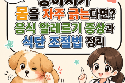 강아지가 몸을 자주 긁는다면? 음식 알레르기 증상과 식단 조절법 정리