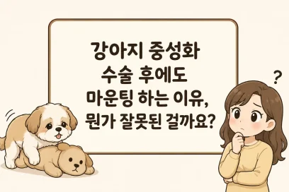 강아지 중성화 수술 후에도 마운팅 하는 이유, 뭔가 잘못된 걸까요?
