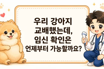 우리 강아지 교배했는데, 임신 확인은 언제부터 가능할까요?