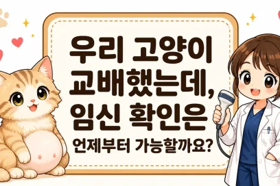 우리 고양이 교배했는데, 임신 확인은 언제부터 가능할까요?