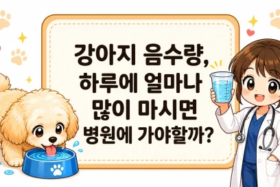 강아지 음수량, 하루에 얼마나 많이 마시면 병원에 가야할까?