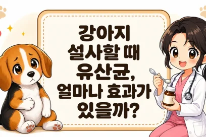 강아지 설사할 때 유산균, 얼마나 효과가 있을까?
