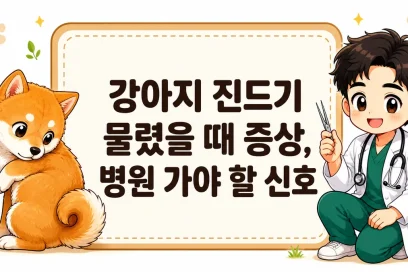 강아지 진드기 물렸을 때 증상, 병원 가야 할 신호