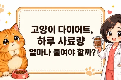 고양이 다이어트, 하루 사료량 얼마나 줄여야 할까?