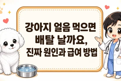 강아지 얼음 먹으면 배탈 날까요, 진짜 원인과 급여 방법