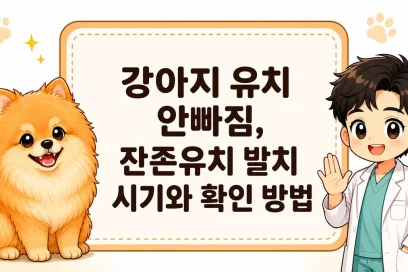 강아지 유치 안빠짐, 잔존유치 발치 시기와 확인 방법