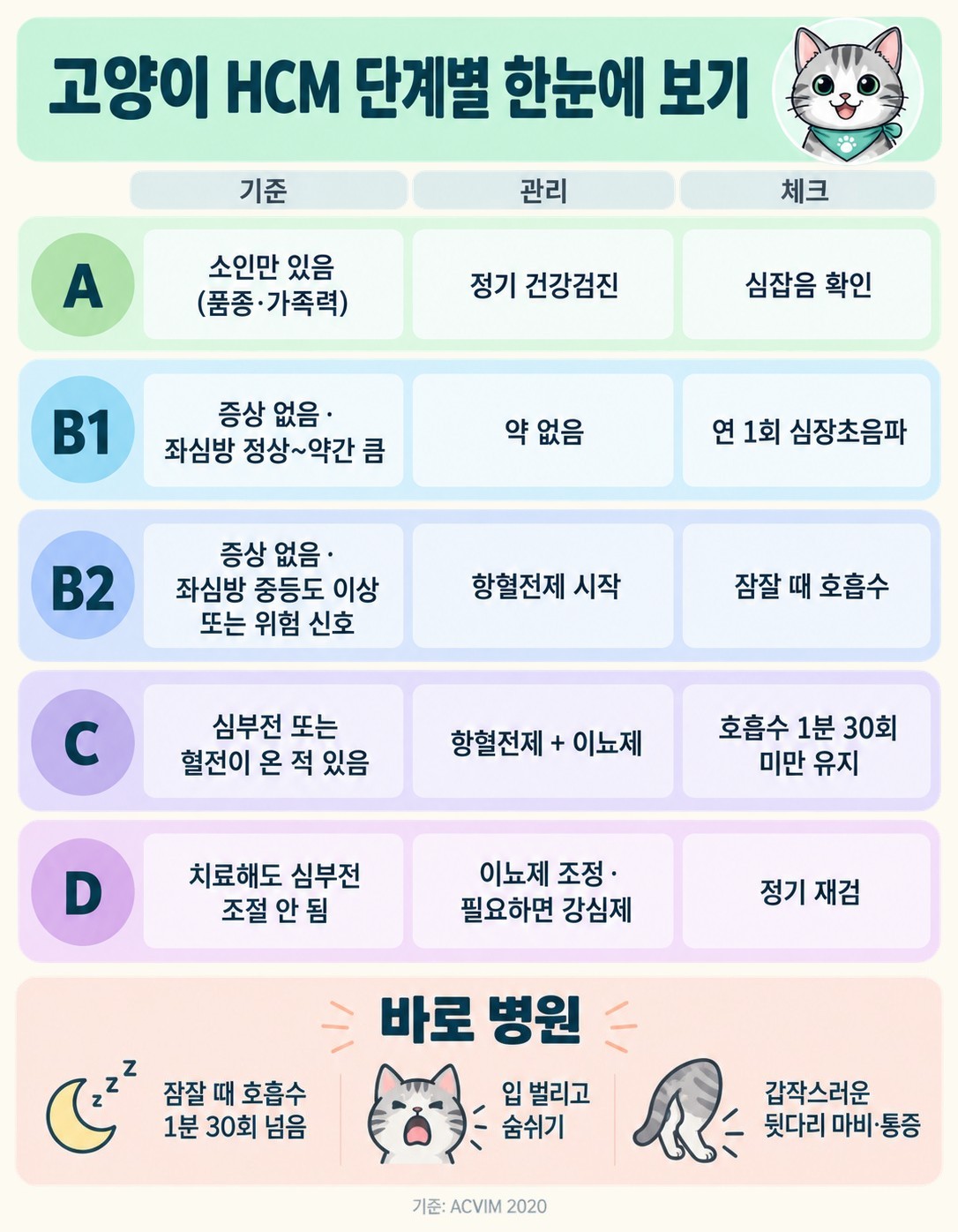 고양이 비후성 심근병증(HCM) A·B1·B2·C·D 단계별 분류 기준, 관리, 집에서 체크할 점과 바로 병원에 가야 하는 신호를 정리한 인포그래픽
