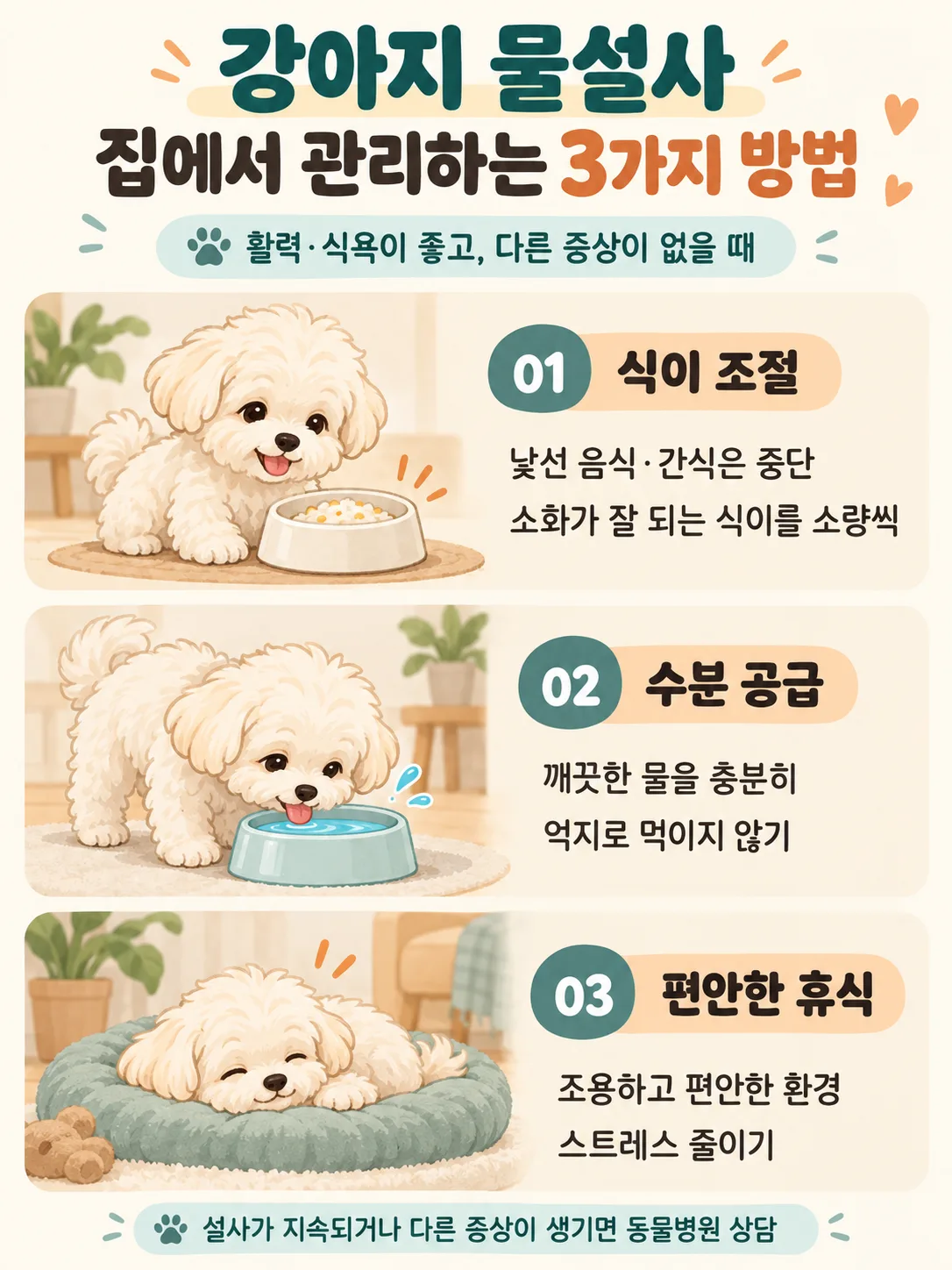 강아지 물설사 집에서 관리하는 법 인포그래픽 — 식이 조절, 수분 공급, 편안한 휴식