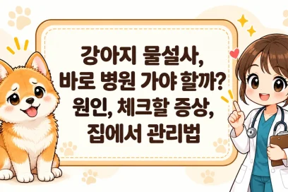 강아지 물설사, 바로 병원 가야 할까? 원인, 체크할 증상, 집에서 관리법
