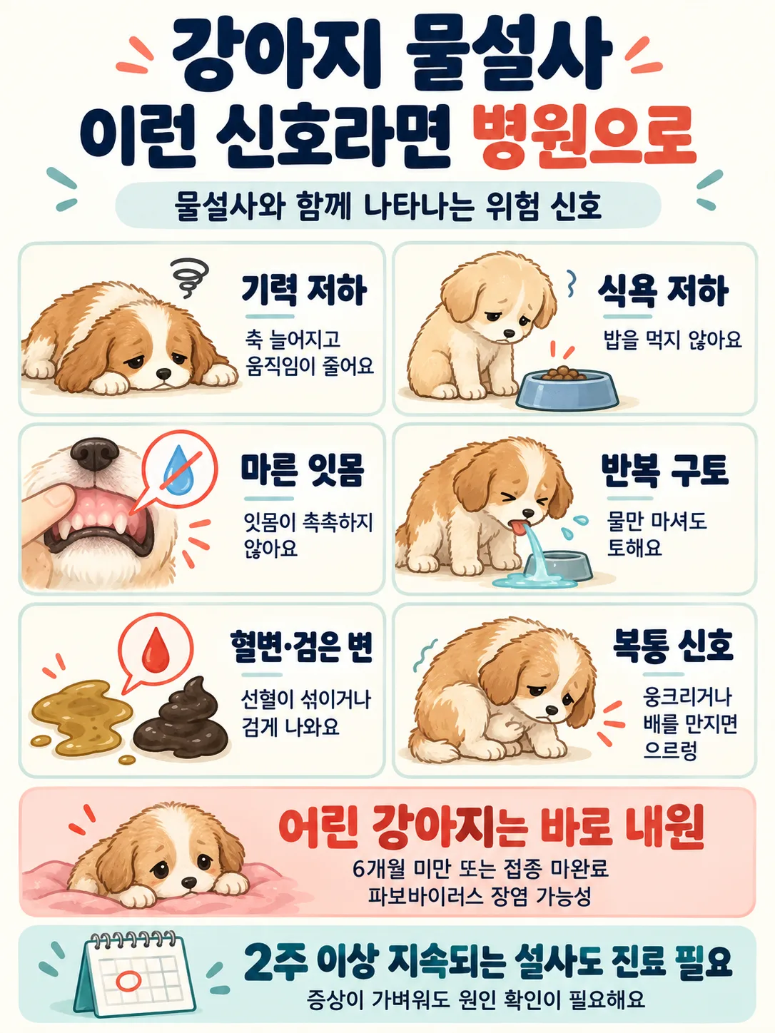 강아지 물설사와 함께 병원에 가야 하는 증상 인포그래픽